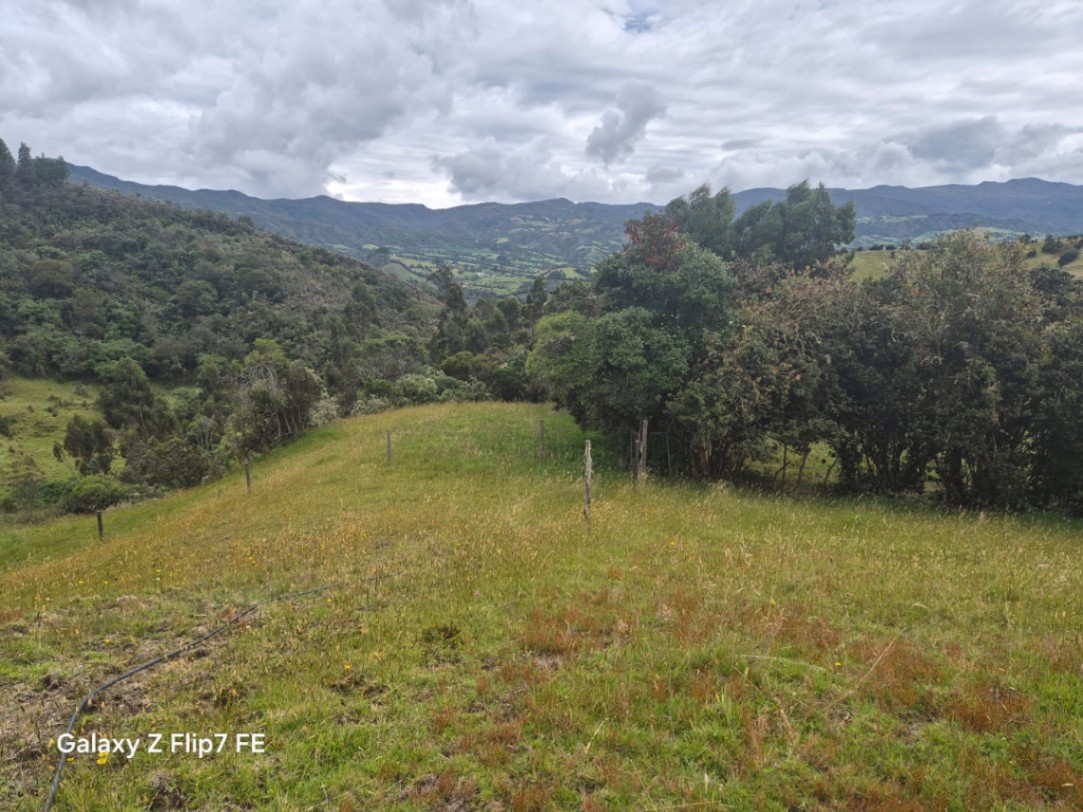 Vía Vda. la Carbonera, Guatavita, Cundinamarca, Colombia 5
